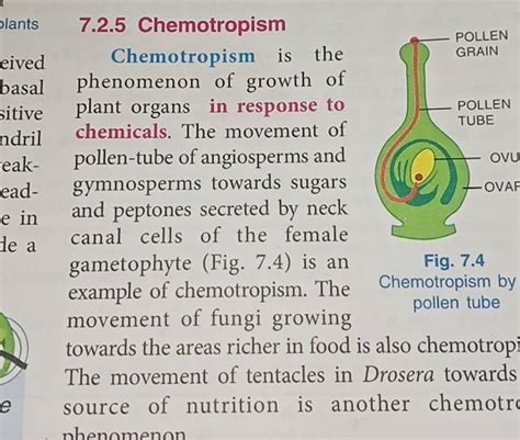 7.2.5 Chemotropism Chemotropism is the phenomenon of growth of plant orga..