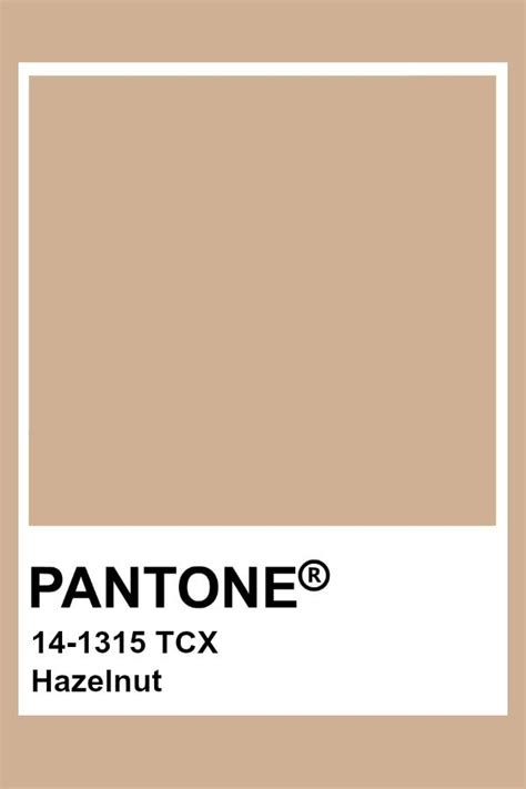 Pantone Hazelnut Palette Couleur Nuancier Couleur | My XXX Hot Girl