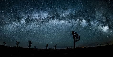 Joshua Tree Milky Way by Kit Hoang - Photo 34553188 / 500px