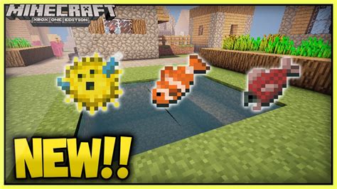 (NEW) Minecraft Fish Types ! Coming in TU23?!!(XboxOne/Xbox360/Ps3/PS4) - YouTube