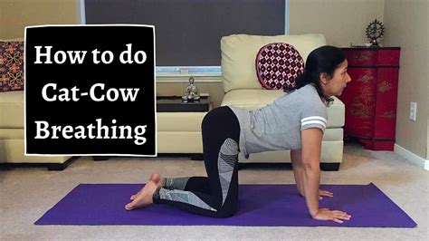 How to Properly do Cat-Cow Breathing Lower Back Relief Strengthens Spine - YouTube