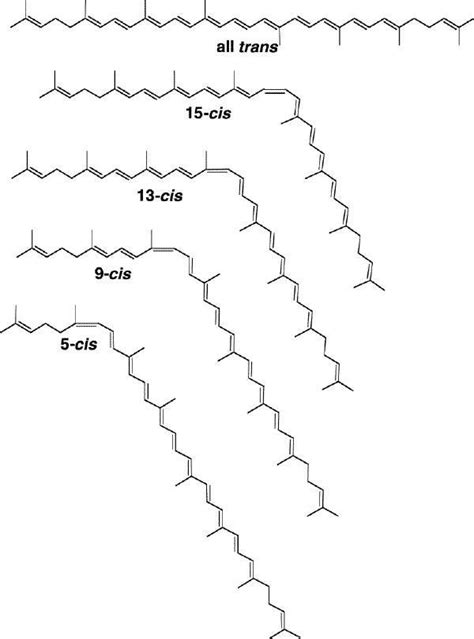 Molecular structure of lycopene. | Download Scientific Diagram