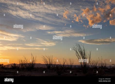 Arizona Desert Sunset Stock Photo - Alamy