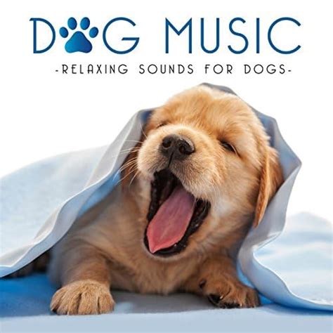 Amazon.com: Dog Music - Relaxing Sounds for Dogs : VARIOUS ARTISTS ...