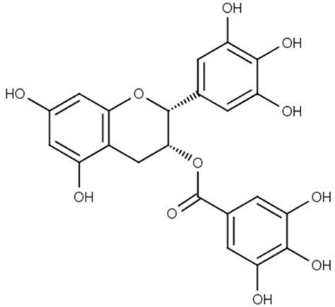 Lipids Polymer