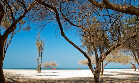 Best beaches in Bahrain | Time Out Bahrain