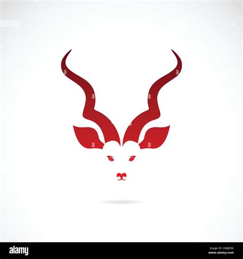 Vector image of an kudu antelope horns on white background. Easy editable layered vector ...