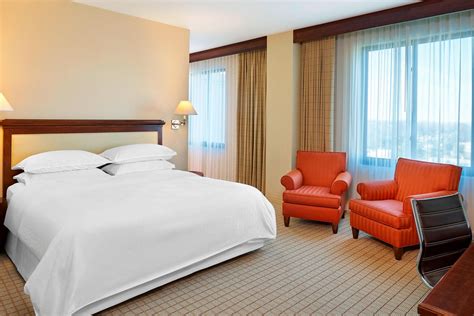 Pet-Friendly Hotels in Frisco, TX | Sheraton Stonebriar