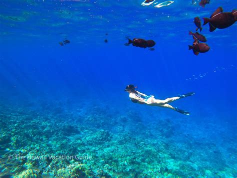 Molokini Crater Snorkeling Tour from a Power Raft Review - The Hawaii ...