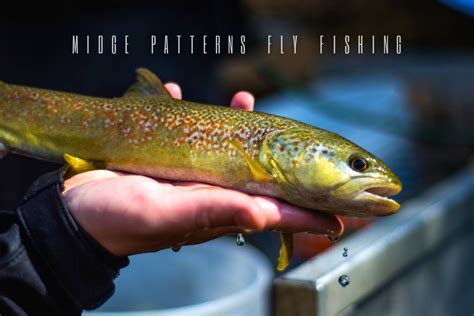 Midge Patterns for Fly Fishing: Tips and Techniques