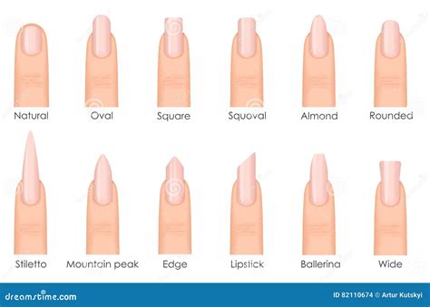 Different Fashion Nail Shapes. Set Kinds of Nails. Fashion Nails Type Trends Stock Vector ...