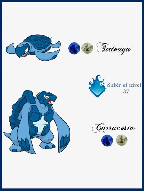 Poke especie tortuga serpiente y mariposa | •Pokémon• En Español Amino