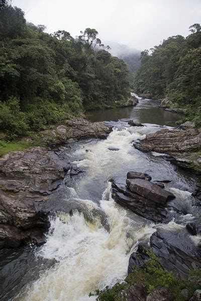 Ranomafana National Park | Travel Story and Pictures from Madagascar