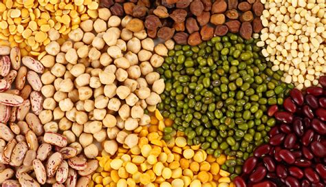 Cabinet Allows Export Of All Varieties Of Pulses