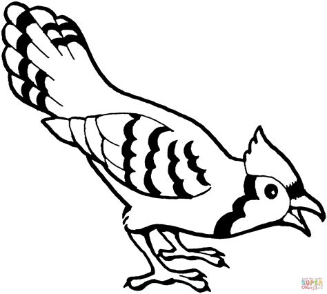 Blue Jay Bird coloring page | Free Printable Coloring Pages