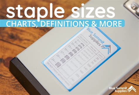 Staple Sizes: Charts, Definitions, and More for All Types of Staples