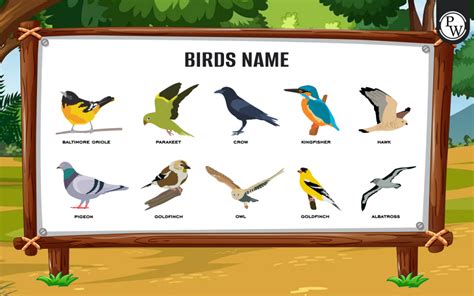 Names Of Birds