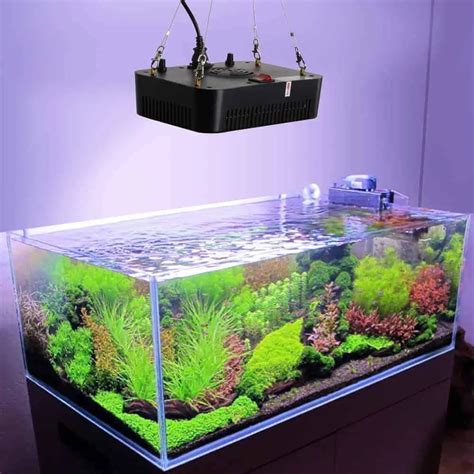 Top 3 LED Lights for Your Planted Aquarium And Guide - The Aquarium Adviser