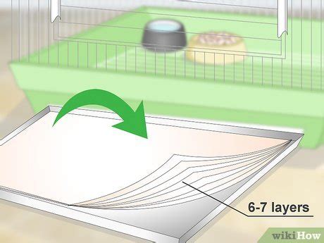 3 Ways to Set Up a Caique Parrot Habitat - wikiHow Pet