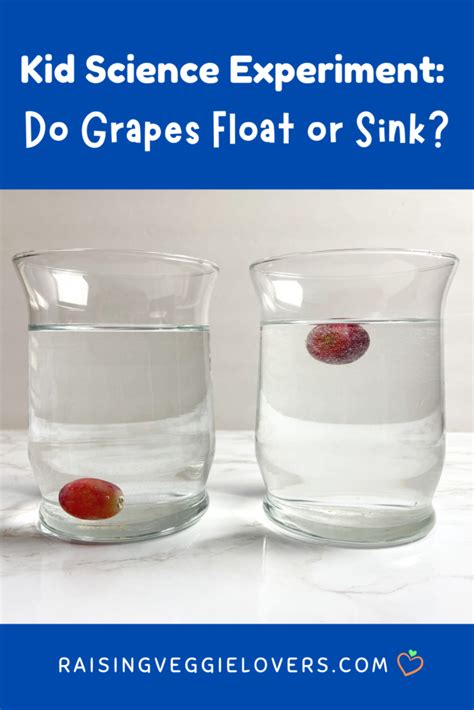 Kids Science Experiment: Do Grapes Sink or Float? - Raising Veggie Lovers