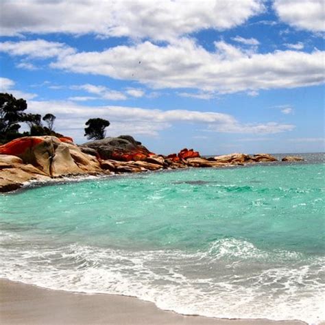 Bay of Fires Conservation Area (Mount William National Park) - ATUALIZADO 2020 O que saber antes ...