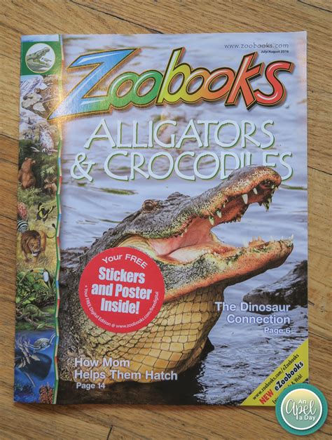 An Apel a Day: Zoobooks Magazine Review