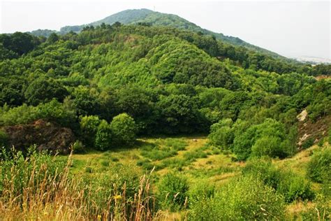 Visiting The Wrekin - Wellingtons Walking With Giants