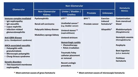 GrepMed on Twitter: "Differential Diagnosis and Approach to Hematuria ...