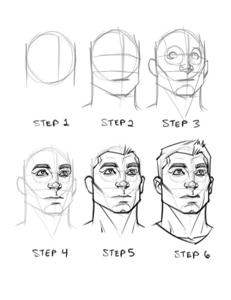 face anatomy drawing tutorial - Livia Overstreet