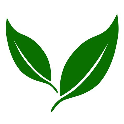 Green leaf icon 23363687 PNG