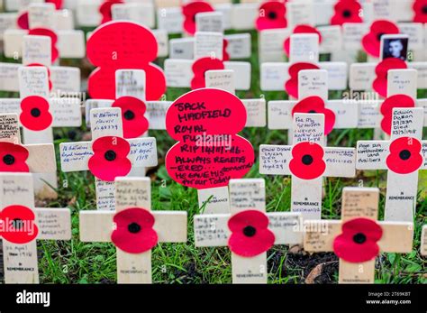 London, UK. 9th Nov, 2023. A sea of Crosses and poppies, laid by Poppy ...