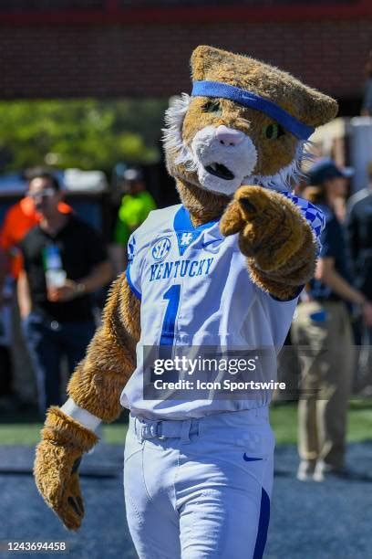 Kentucky Wildcat Mascot Photos and Premium High Res Pictures - Getty Images