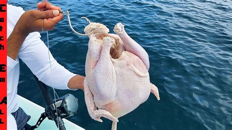 FISHING with a CHICKEN! - en.mindovermetal.org