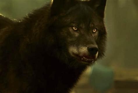 Werewolf | Hemlock Grove Wiki | FANDOM powered by Wikia