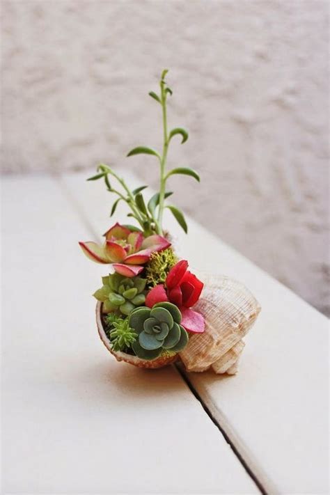 Cute Tiny Succulent Planters That You Will Instantly Fall In Love With ...