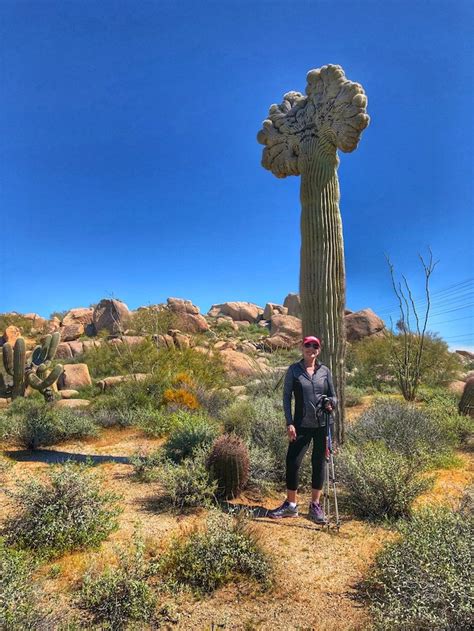 Hiking in Scottsdale, Arizona