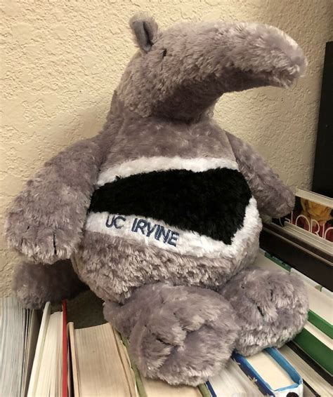 UC Irvine ANTEATER Mascot 9” ZOT Plush UCI Basketball Gray Stuffed Animal #MascotFactory # ...