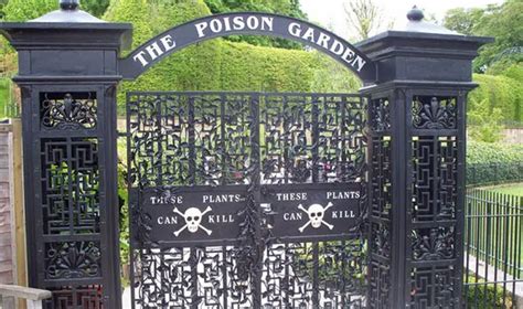 The Poison Garden of Alnwick Castle | Lethbridge News Now