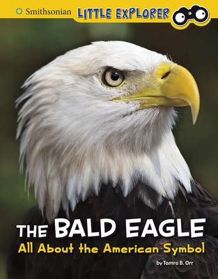 The Bald Eagle: All about the American Symbol a book by Tamra B. Orr