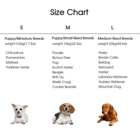 Spaniel Breeds Size Chart - Love Photos Puppy