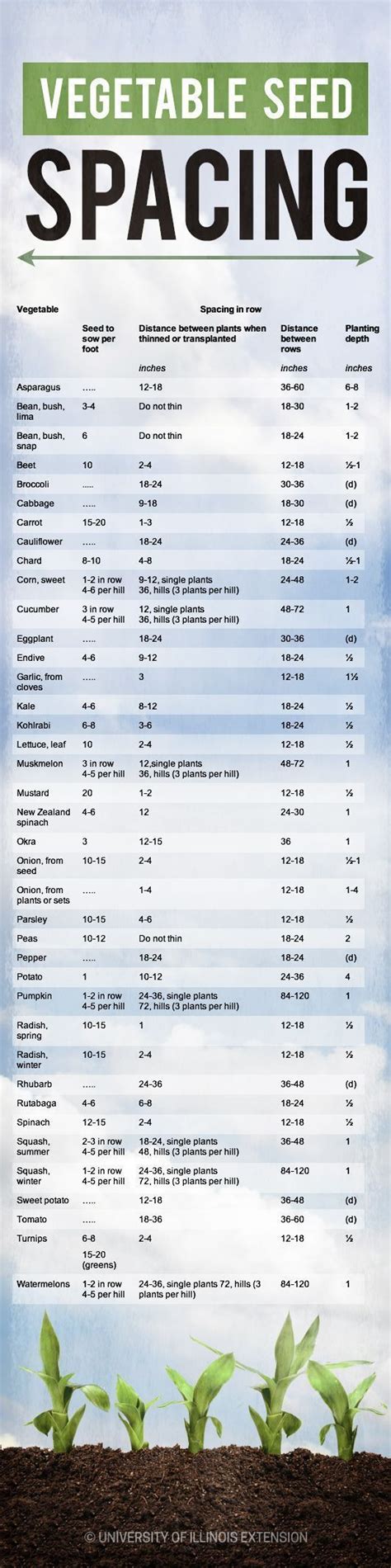 a guide to how much you should space your vegetable seeds when planting ...