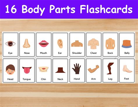 16 Body Parts Flashcards / Image Cards for Kids, Preschoolers ...