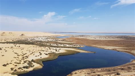 Fayoum Oasis in Details | AL Fayoum Oasis Egypt | Faiyum Egypt