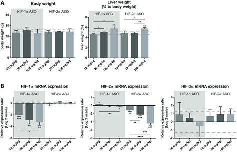 Efficacy and selectivity of different dosage regimens of HIF-1α and... | Download Scientific Diagram