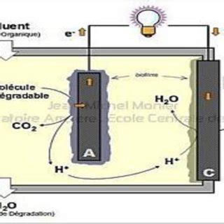 Schematic diagram of Microbial Fuel Cell. [12] | Download Scientific ...