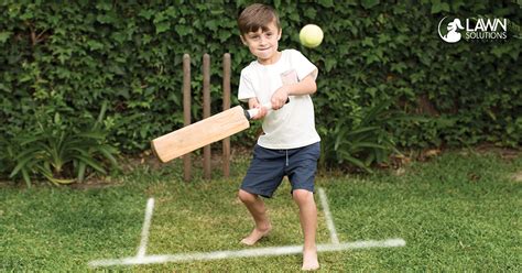 How to Create a Backyard Cricket Pitch - Lawn Solutions Australia