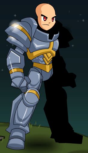 Paladin (Class) - AQW