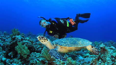 Diving Reefs and Wrecks in Coron, Palawan - Palawan