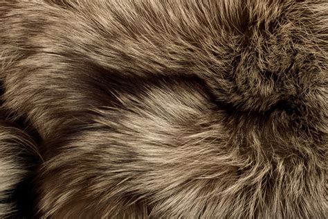 Polar Fox fur. Useful as texture - Western Fur Tannery Ltd.