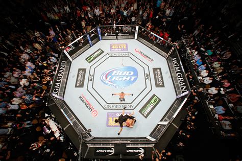 Ufc Fighting Cage